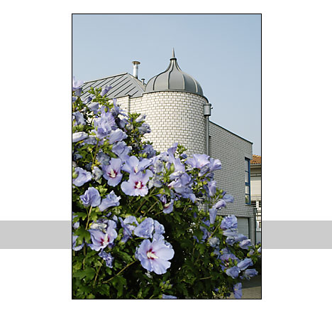 Egelspfad, Foto: Manfred Wegener, K&ouml;ln